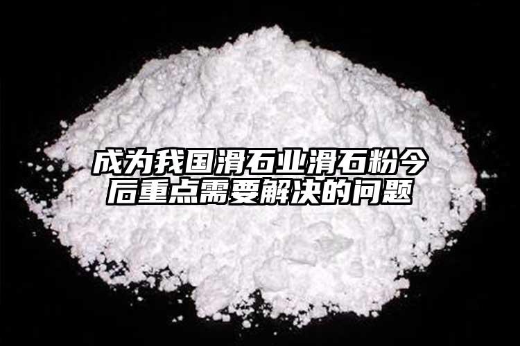 成為我國滑石業(yè)滑石粉今后重點(diǎn)需要解決的問題