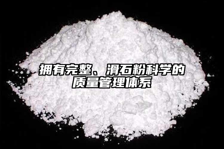 擁有完整、滑石粉科學(xué)的質(zhì)量管理體系