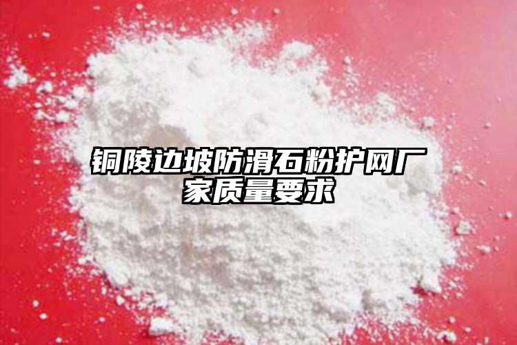 銅陵邊坡防滑石粉護(hù)網(wǎng)廠家質(zhì)量要求