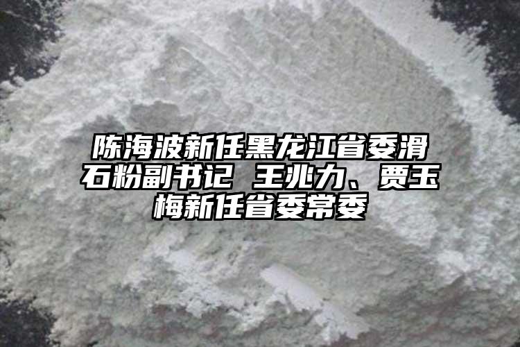 陳海波新任黑龍江省委滑石粉副書記 王兆力、賈玉梅新任省委常委