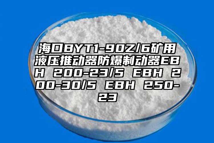 ?？贐YT1-90Z/6礦用液壓推動(dòng)器防爆制動(dòng)器EBH 200-23/5 EBH 200-30/5 EBH 250-23